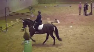Andrea Jänisch Working Equitation Dressurtrail