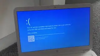 Era Istrefi has BSOD!