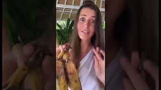 Maggots on bananas 