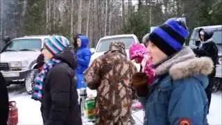 Дикие кошки в Новогоднем лесу 1