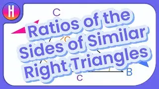 How Are the Ratios of the Sides of Similar Right Triangles Related?