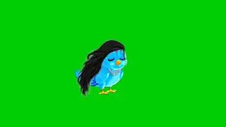 No Copyright | tuni chidiya 16| bird cartoon green screen | Bird Green Screen | green screen cartoon