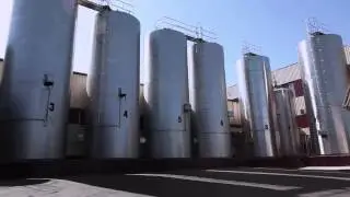 Фильм о Пирятинском сырзаводе!