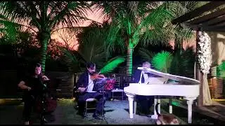 Can You Feel the Love Tonight - Clarim Música para Casamento