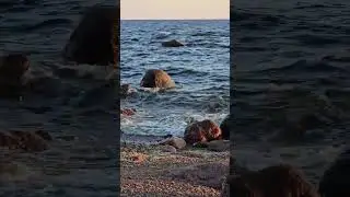 Киперорт