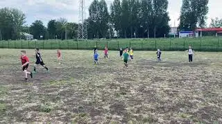 IMG 7205