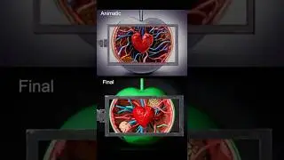 Animatic vs. Final on my Het Klokhuis (NL) title sequence. This is a peek at how I plan my films.