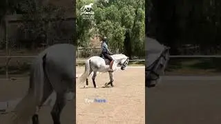 Can’t get Your Horse Round in the Canter?