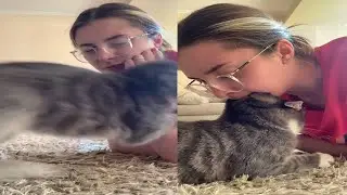 Girl Bites Her Cat Back