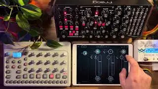 @WeAreElektron Model:Cycles @MoogSynthesizers Subharmonicon 💛 @jimpavloff  Pure Acid
