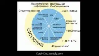 Ольга Бутакова  12 свойств воды