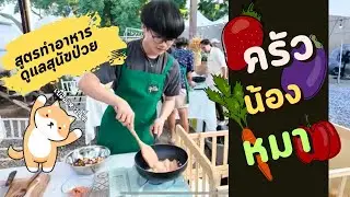 สูตรทำอาหารดูแล สุนัขป่วย เบืออาหารเม็ด  I Bossaพาเพลิน