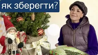 Morning with the furry ones The Christmas tree has arrived. How to preserve a live Christmas tree🌲?