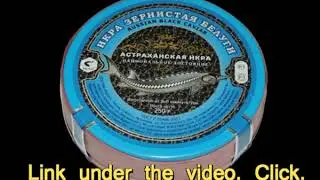 american fish and seafood inc