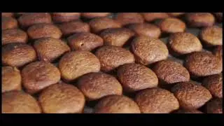Umar Dani, 4 возрастная категория