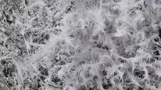 Hoarfrost