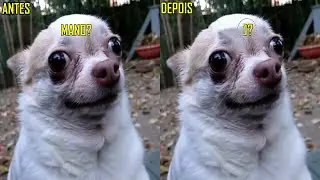 Como remover marca d'água da Foto com #PhotoScape