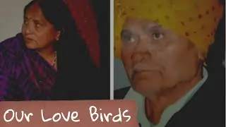 Rare story of our love birds
