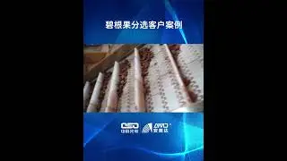 AMD Pecans with InGaAs Sorting Machine 