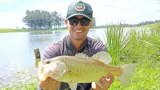 Peixe americano no Rio Grande do Sul ???