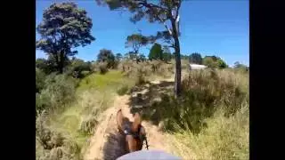 Horse Ride over Forest & Farm, Albany, New Zealand. GoPro Hero 3+