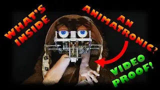 What's REALLY going on inside an animatronic? HOW does it work? Halloween Special!