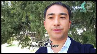 Чуу жараткан 21 миллион сом кенемте. Юристтер эмне дейт?