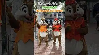 Mickey & Friends Costumes for Halloween Time at Disneyland