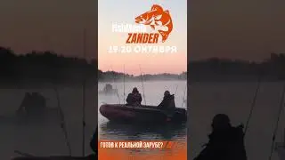 8 октября 2024 г.