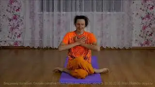 Хасты (жесты силы) в гомукхасане