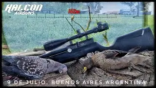 Shooting at 150m with the R2-800 and 152m with the Protactic. It's crazy how these rifles hit!