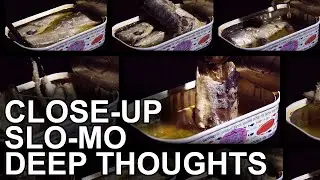 Sardines: A Snacky Trip | Canned Fish Files Ep. 27