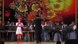 Гармонь моя Клецкая ДШИ