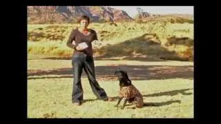 A Dog's Breakfast - Living with Megaesophagus
