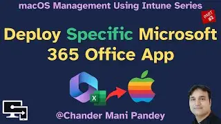 Deploy Specific Microsoft 365 Office app on MacOS with Microsoft Intune
