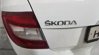 SKODA RAPID 2015 years. покраска трёх деталей