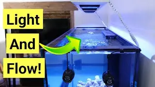 Adding Lights & Flow | Red Sea Reefer S-850 G2+ Episode 3