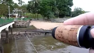 Facepalmfishing Short :Like A Boss(Fishing In Singapore)(Saltwater)