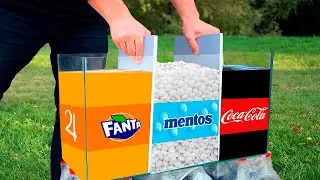 Experiment: Coca Cola & Fanta VS Mentos