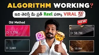 Secret Tips To Beat The Instagram Algorithm 2024 🤯📈| How To Make Reels Viral