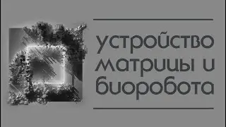 Устройство, смысл матрицы и биоробота. Матричные коды и их смысл. Мир иллюзия и как все устроено.