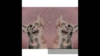 Preview 2 Numa Cat Effects (Klasky Csupo 2001 Effects) In CoNfUsIoN