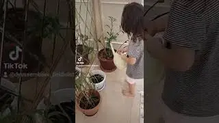 Уход за цветами