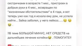 Помогите животным !