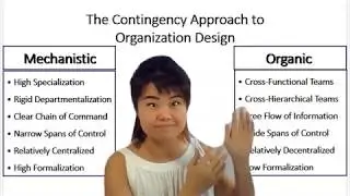 Organization Design: Mechanistic vs Organic
