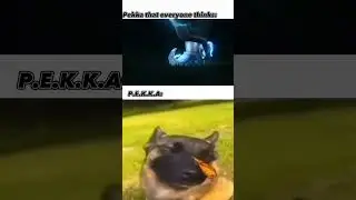 Personally...#clashroyale #keşfet #keşfetbeniöneçıkar #supercell #fypシ #pekka #butterfly #beautiful