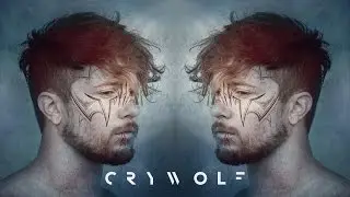 Best Of Crywolf Mix 2017