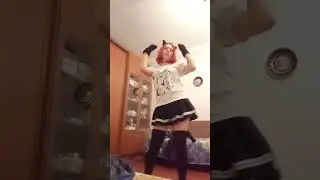 sad cat dance