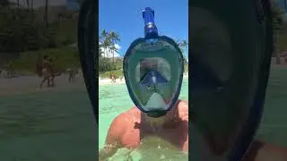 Link in profile. #hawaii #snorkeling #beach #beachlife #beachvibes #pool #poolparty