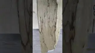 Шпон Блэк Офрам (Wildnut)